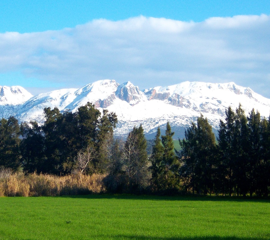 Free HTML5 Website Template by FreeHTML5.co